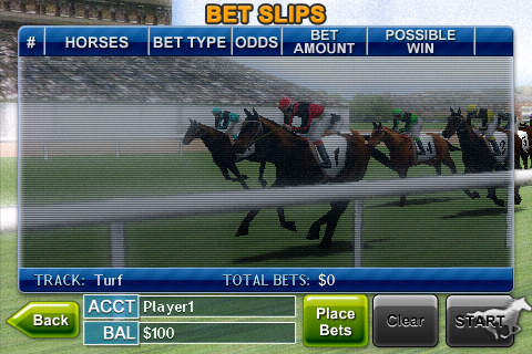 3d赛马专业版游戏截图1