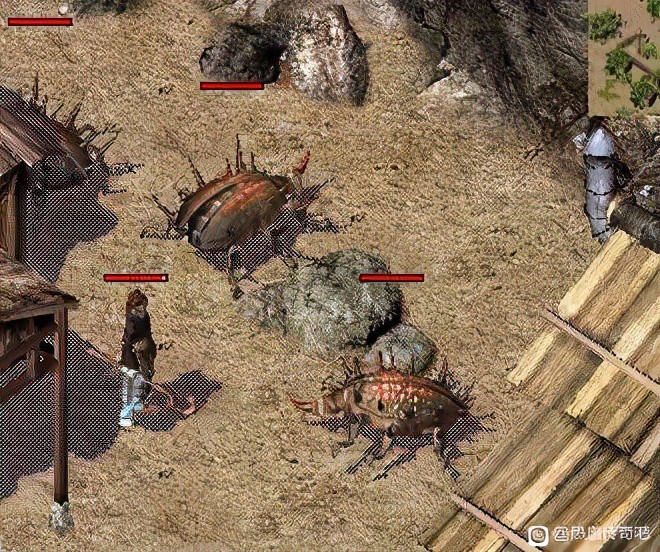 神奇宝贝手游种族值