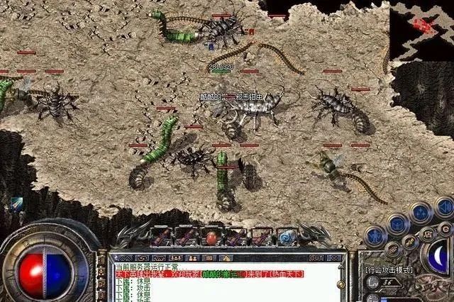 别让宠物救命血成流浪动物的索命符