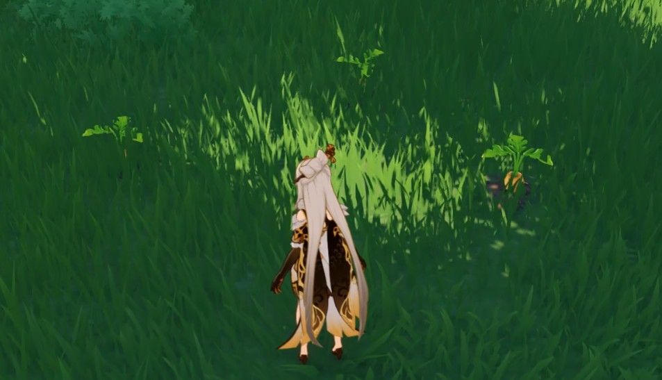 乱世王者手游体验服,CF手游体验服问卷