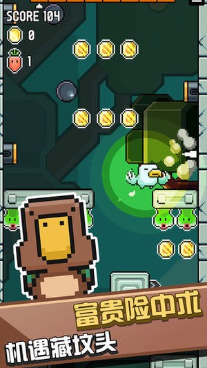 鸟大了什么林子都有游戏截图4