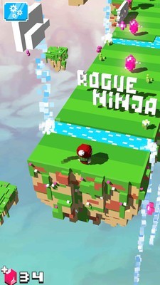 忍者神偷极度困难游戏截图4