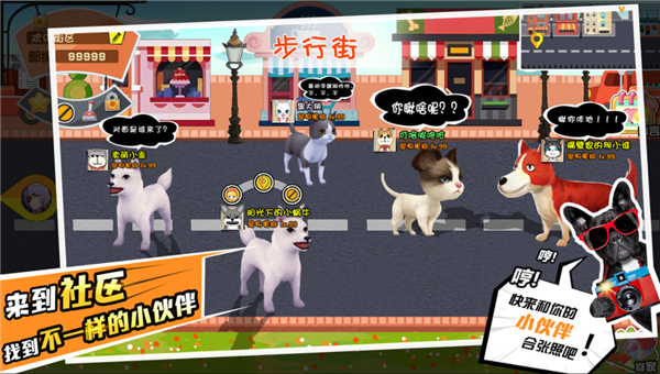宠物天团游戏截图2