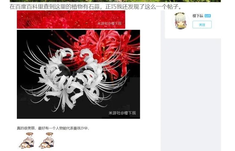 弹弹堂手游龙套装 弹弹堂手游龙套装