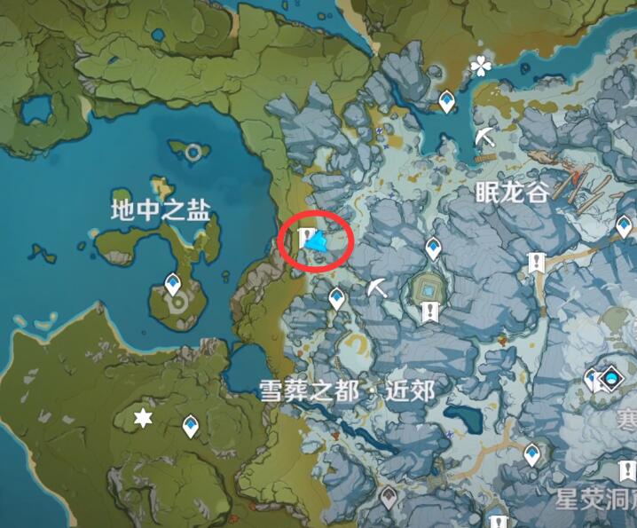 寻仙手游道灵丹是什么