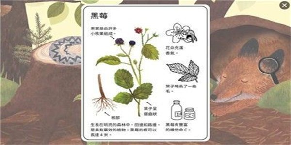 松鼠生活游戏截图1