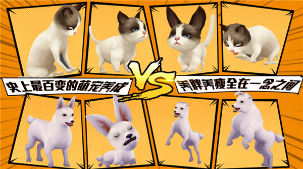 宠物天团游戏截图4