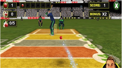 板球传奇夏恩游戏截图2