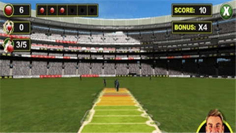 板球传奇夏恩游戏截图1