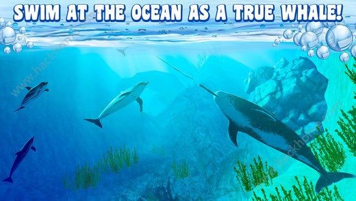 粉鲸游戏50任务游戏截图3