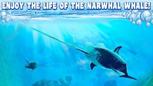 粉鲸游戏50任务游戏截图2