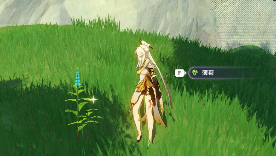 倩女手游副战场