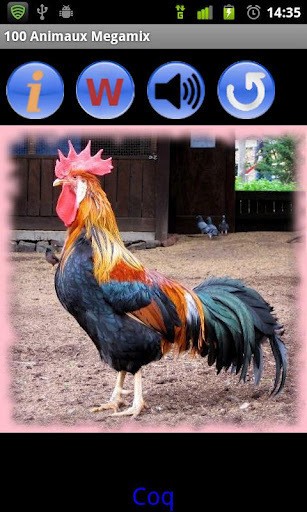 100动物游戏截图3