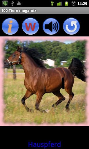 100动物游戏截图1