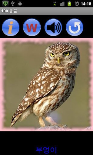 100动物游戏截图2