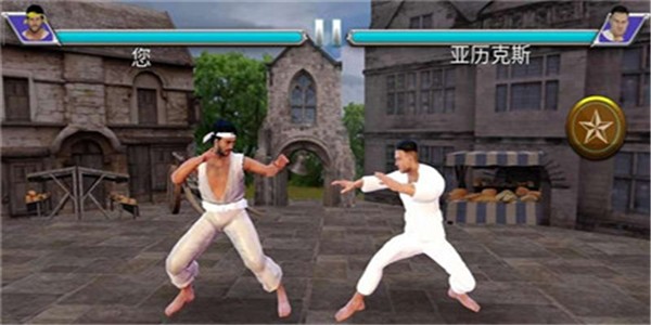 决胜空手道2020游戏截图1