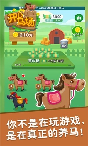 开心马场游戏截图2