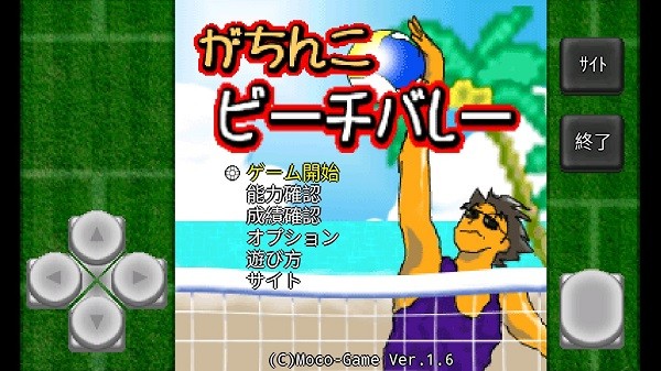 沙滩排球手游戏截图2