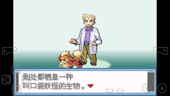 口袋妖怪真永恒之炎Y-游戏截图3