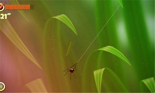 蜘蛛的冒险游戏截图1