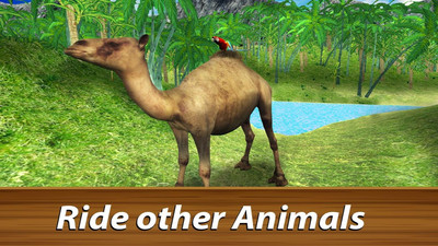 野生鹦鹉生存游戏截图2