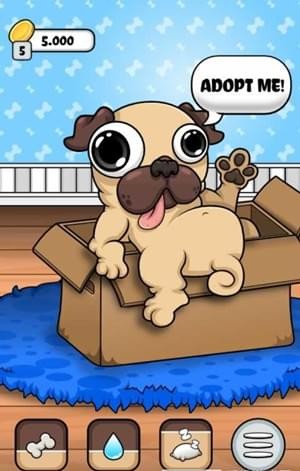 我的宠物狗狗帕格游戏截图3