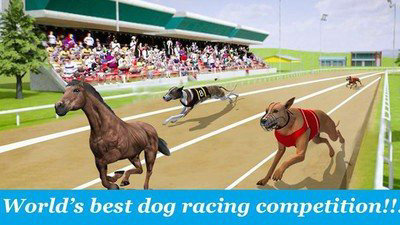 疯狂的狗赛3D游戏截图2