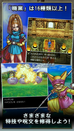 勇者斗恶龙6幻之大地游戏截图2