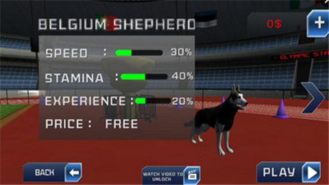 疯狂的赛狗游戏截图2