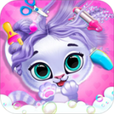 好莱坞小姐时尚