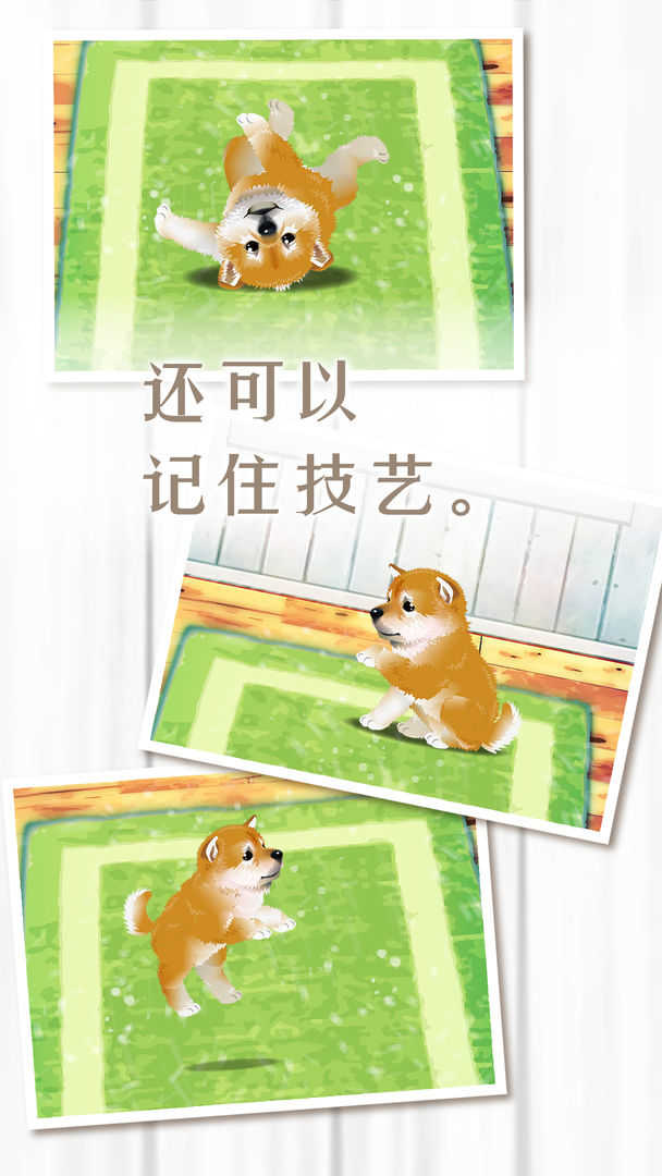 养育柴犬的治愈游戏游戏截图2