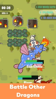 飞龙在天大乱斗游戏截图1