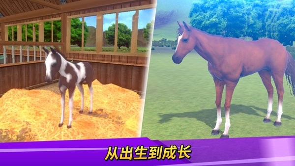 德比生活游戏截图3