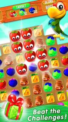 水果热匹配狂热游戏截图3