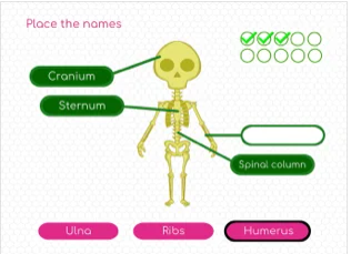 身体搜索-游戏截图2