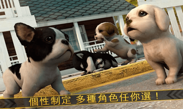 超级小汪大闯关游戏截图3