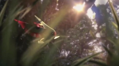 小精灵历险记游戏截图1