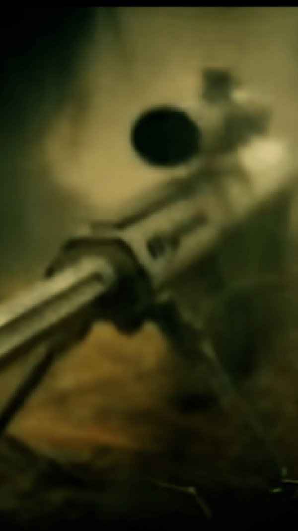 布拉沃狙击手游戏截图2