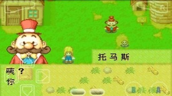 牧场物语女孩游戏截图3