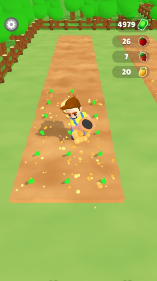 花园大亨-游戏截图3