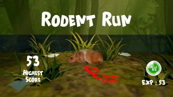 在洪水中拯救老鼠游戏截图2