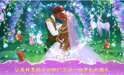 公主婚礼设计师游戏截图2
