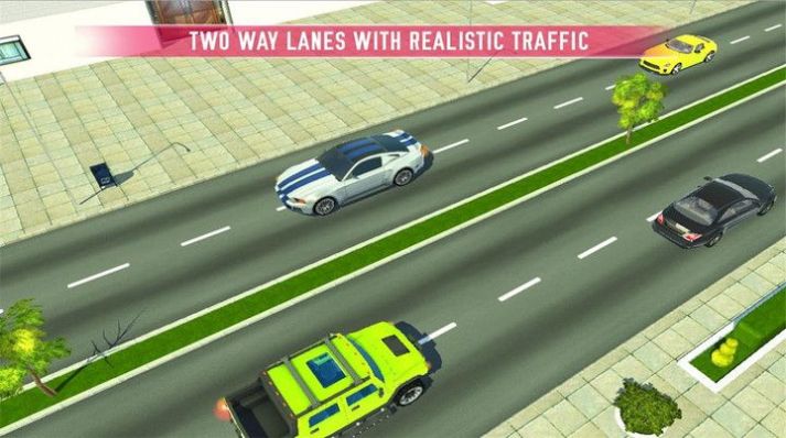 驾校欢迎你游戏截图1