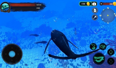 座头鲸模拟器游戏截图3