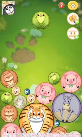 合成可爱大熊猫游戏截图1