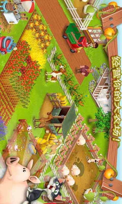 hay day游戏截图4