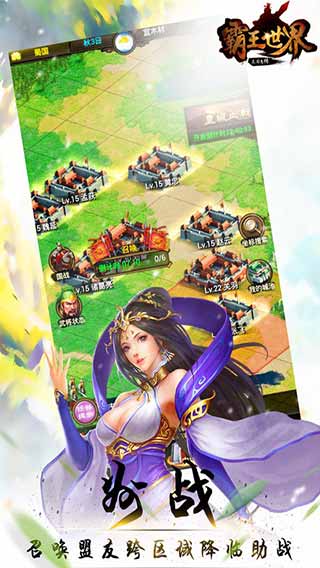 霸王世界游戏截图4