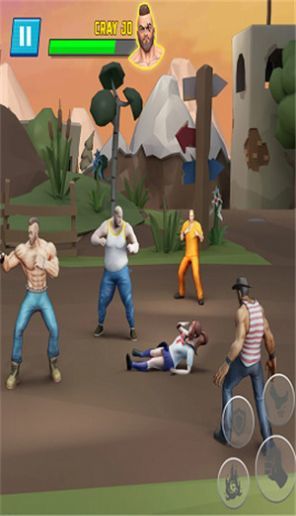 极限功夫挑战游戏截图2