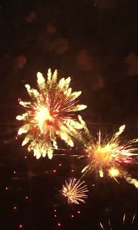 解压开心果游戏截图1