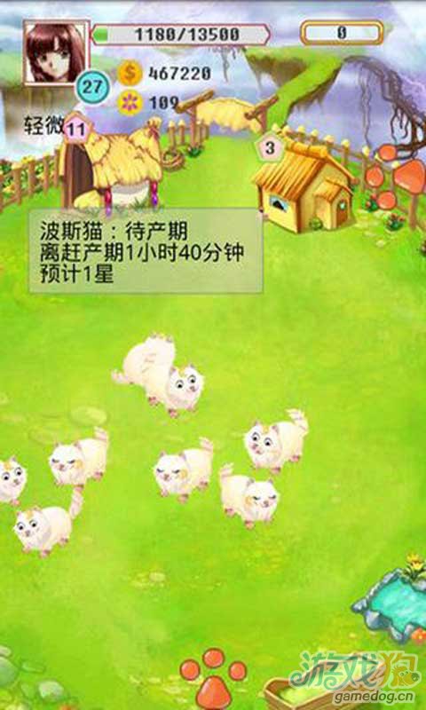 疯狂牧场游戏截图4